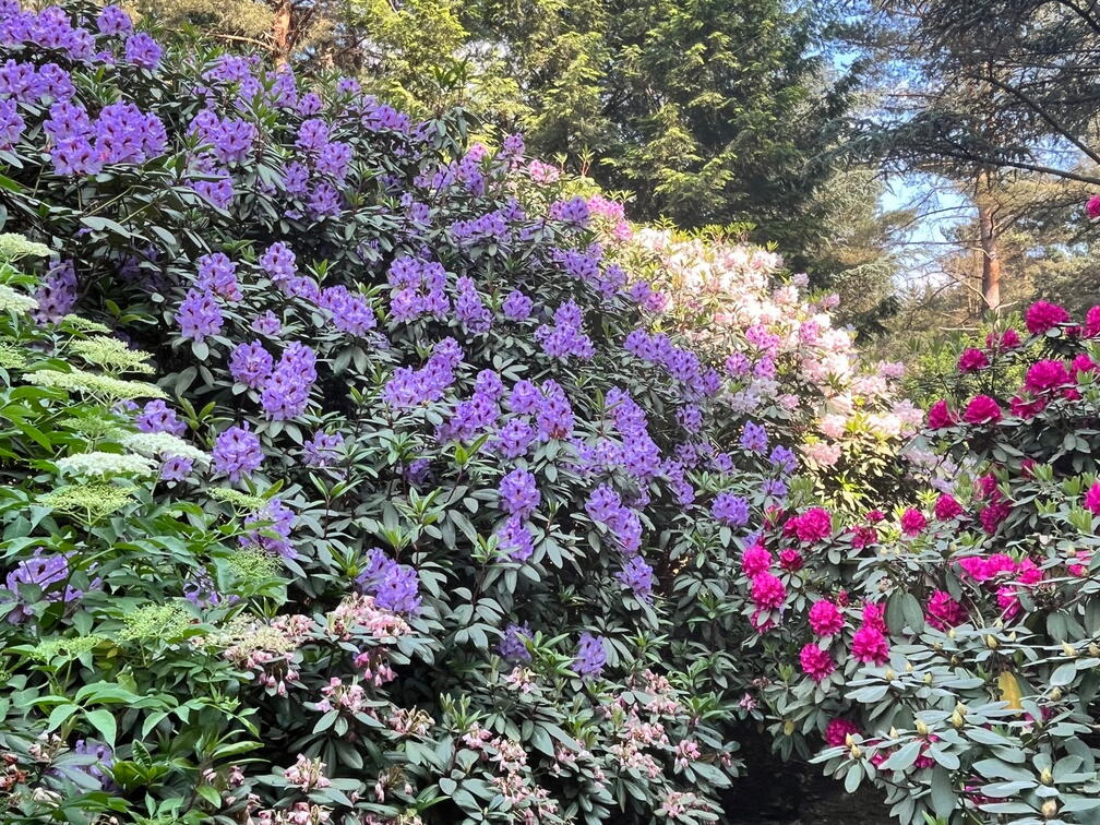 23-06-03 17-02-51 5814